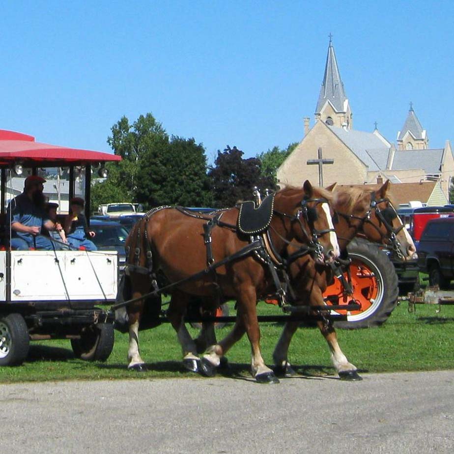 Horse-drawn Wagon