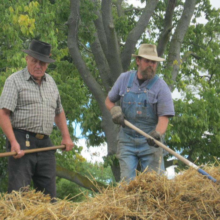 Hay on Wagon